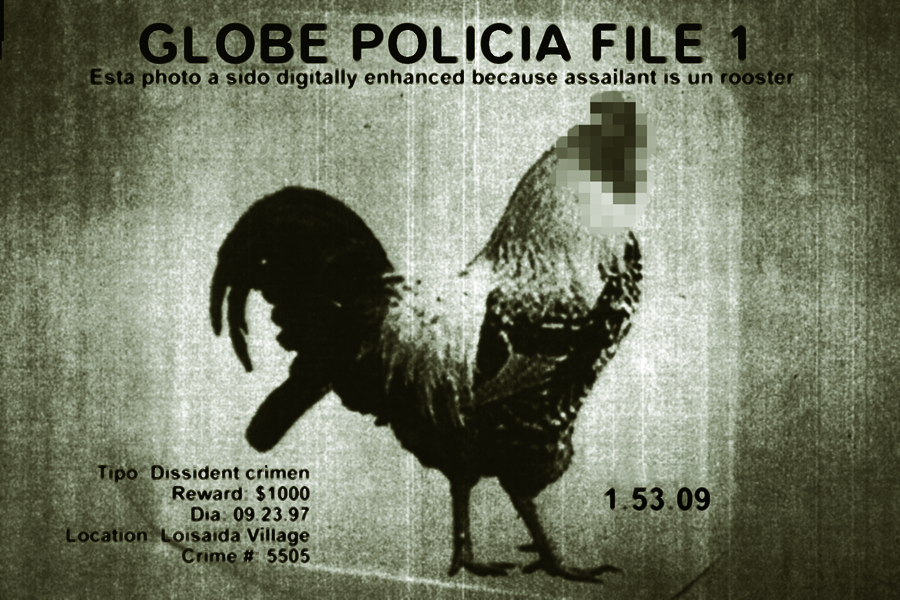 16_Delinquent%20gallo